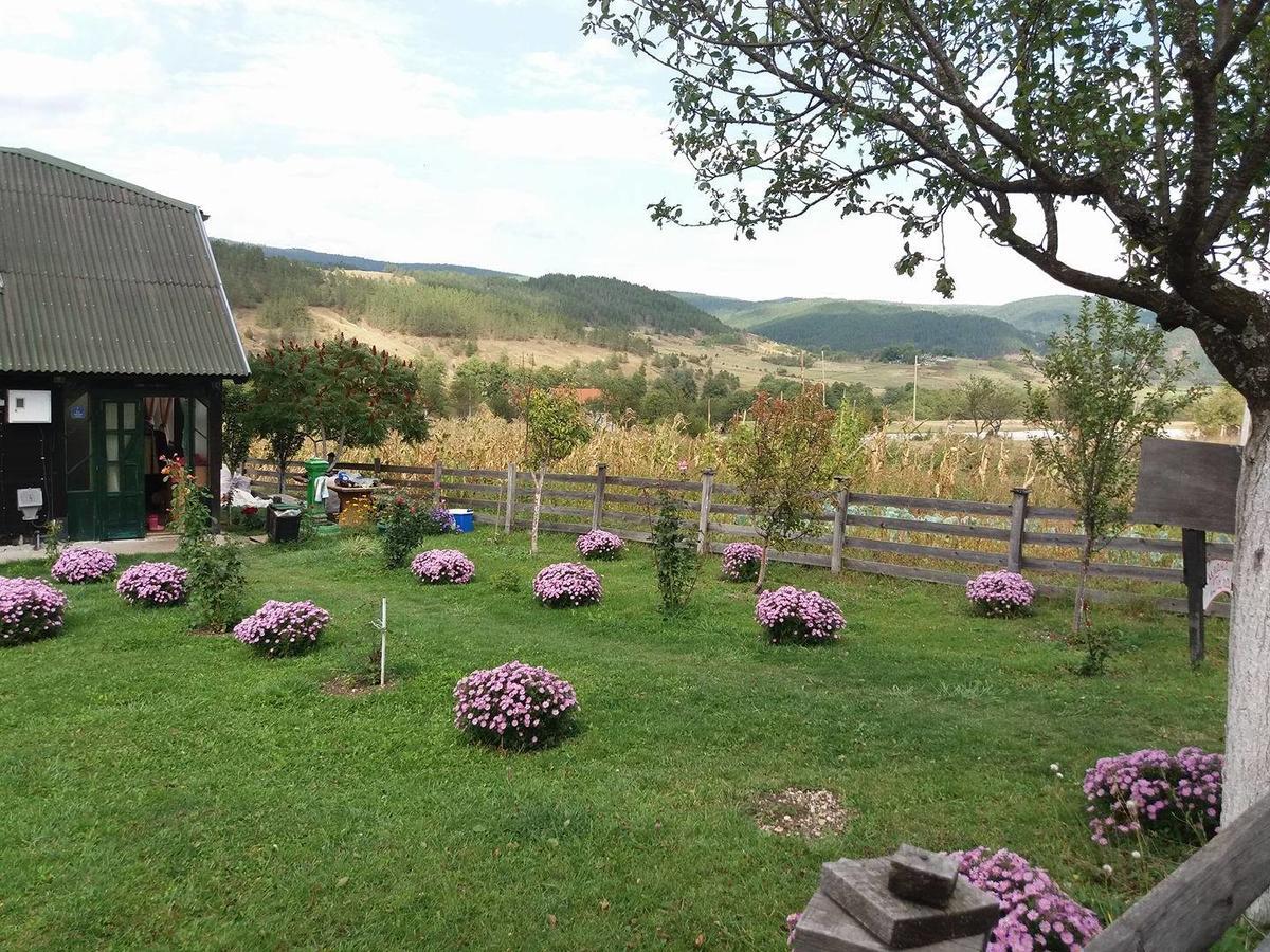 Holiday Home Vila Milka Kremna Екстер'єр фото