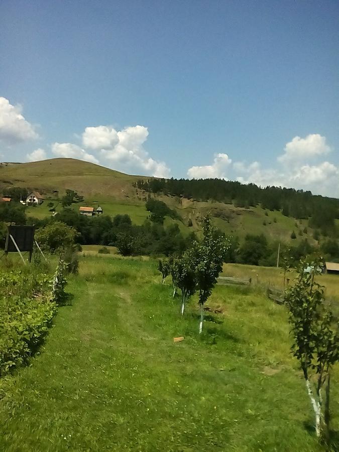 Holiday Home Vila Milka Kremna Екстер'єр фото